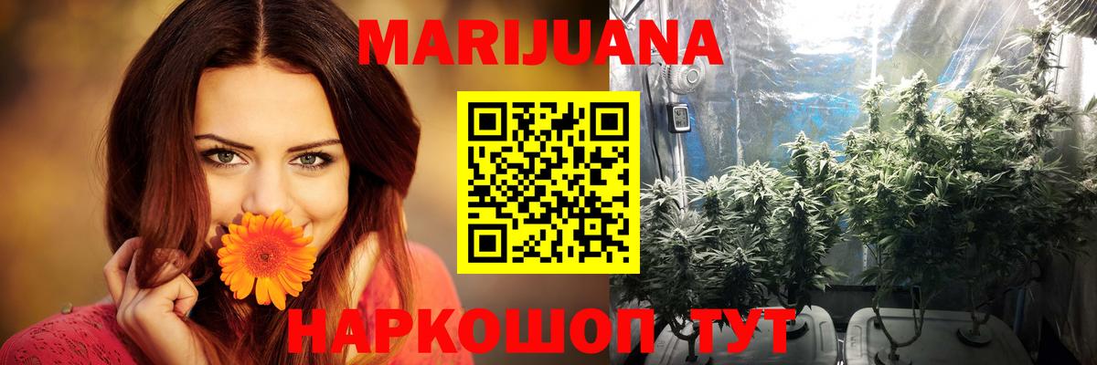 Канабис ГИДРОПОН  Каннабис гибрид  Саров  Вход с VPN 